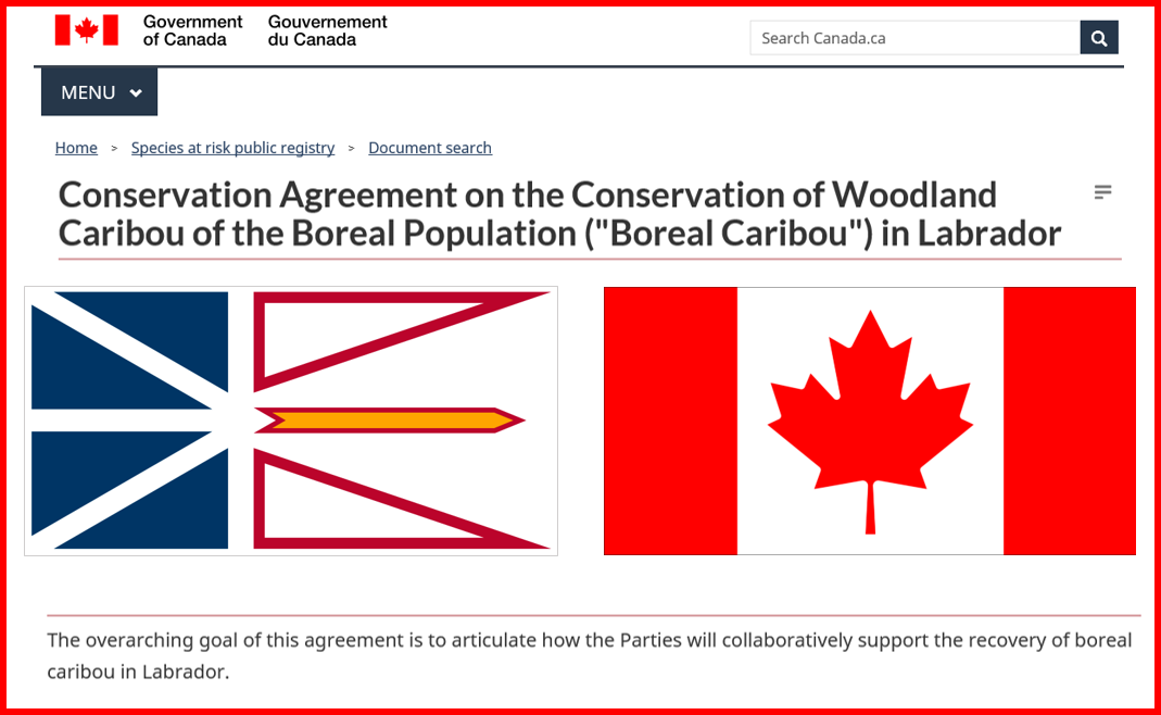 Screenshot of species at risk registry website, edited to show the title of the conservation agreement. Overlain is the flag of Newfoundland and Labrador, as well as the Flag of Canada.