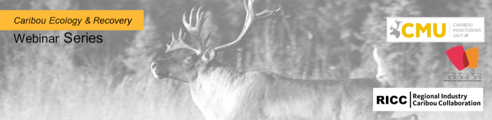 Text "Caribou Ecology & Recovery Webinar Series" appears on the left side of the image. Black and white photo of caribou as backdrop. Logos of the CMU, NBCKC, and RICC appear on the right side of the image.