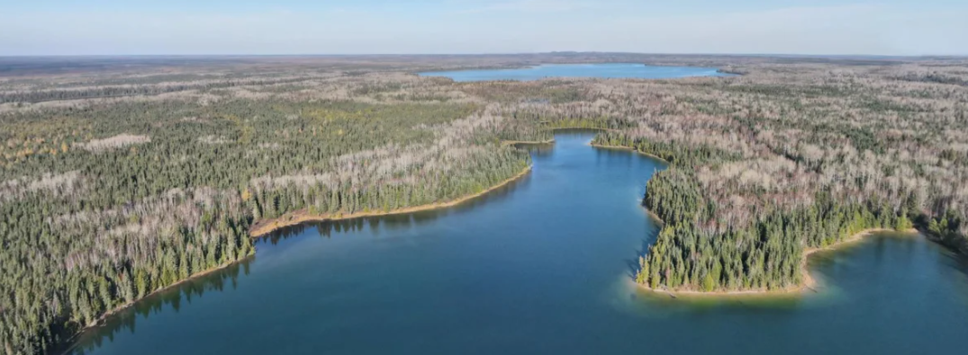 News article photo- boreal wildlands