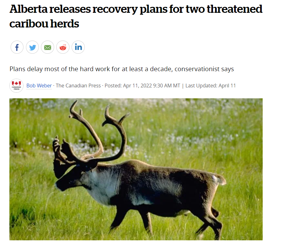 Cover-Alberta_Releases_Recovery_Plan_2Herds