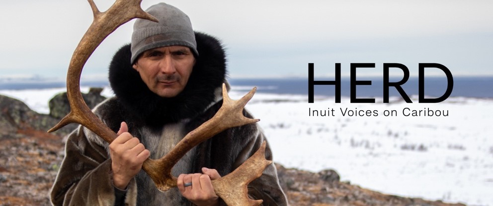HERD video image