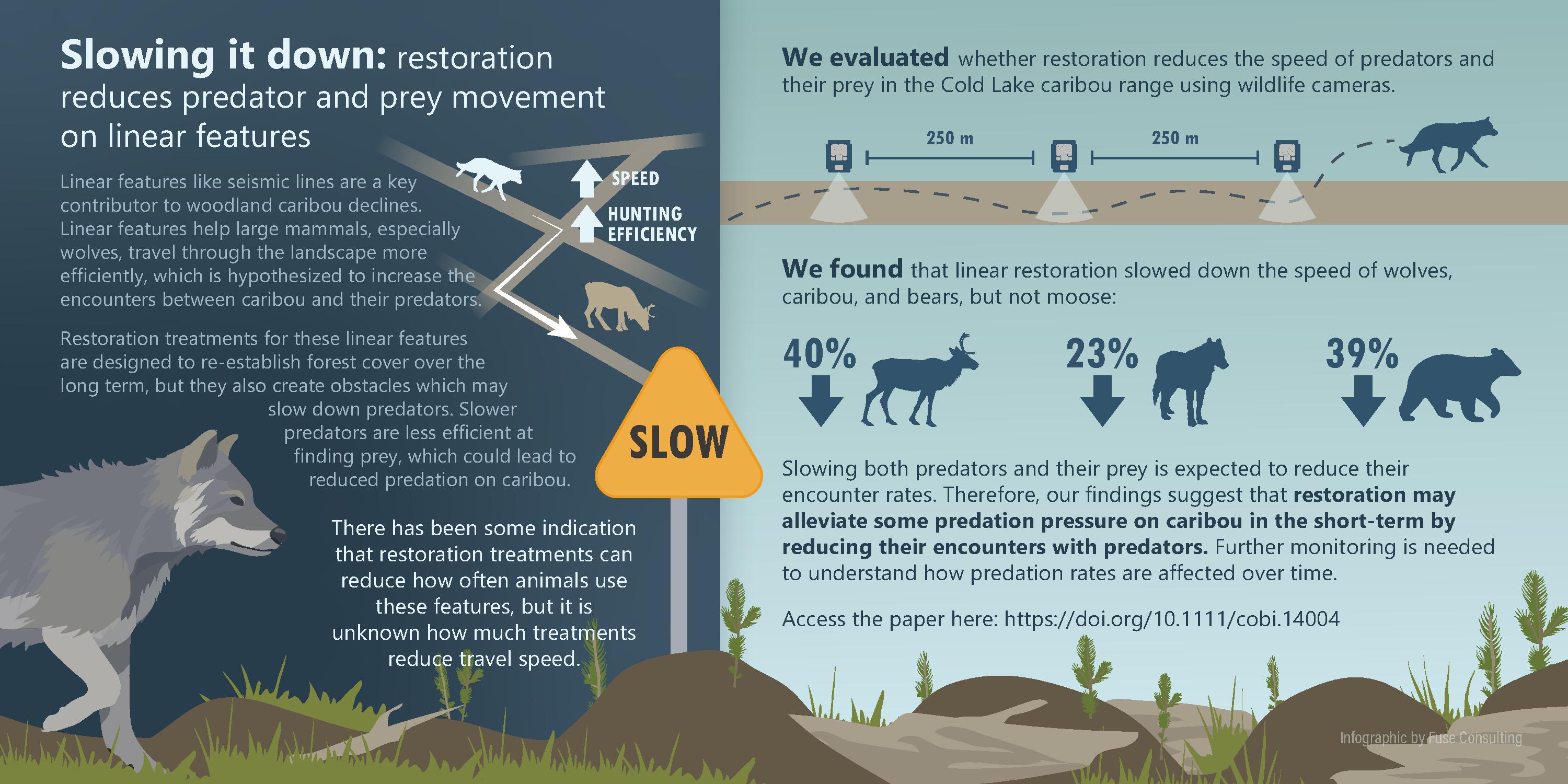 Evaluating the Impact of Caribou Habitat Restoration on Predator and Prey Movement | Canadian Conservation and Land Management (CCLM) Knowledge Network Evaluating the Impact of Caribou Habitat Restoration on Predator and Prey Movement | Canadian Conservation and Land Management (CCLM) Knowledge Network