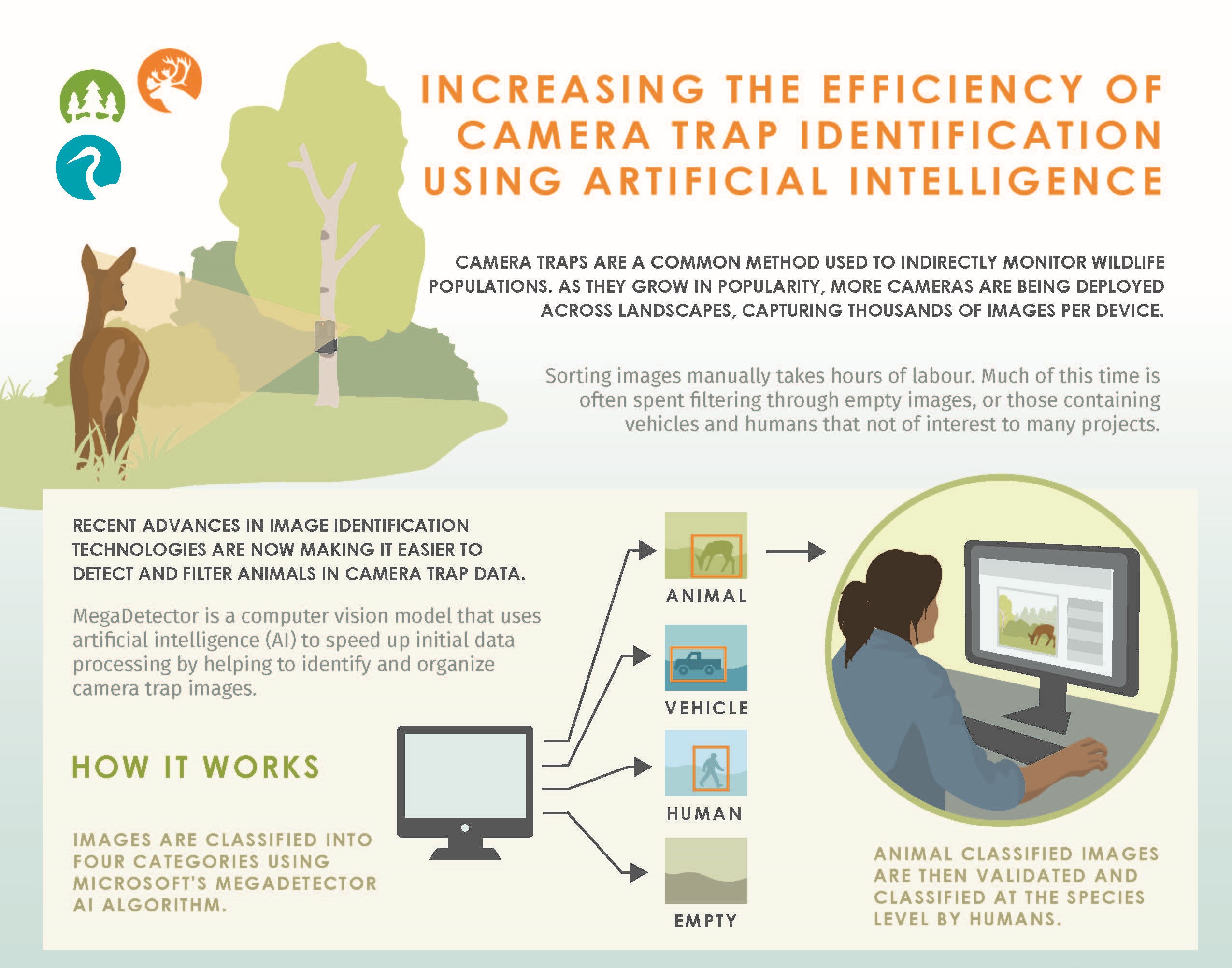 Snap shot of MegaDetector Infographic MegaDetector infographic snapshot
