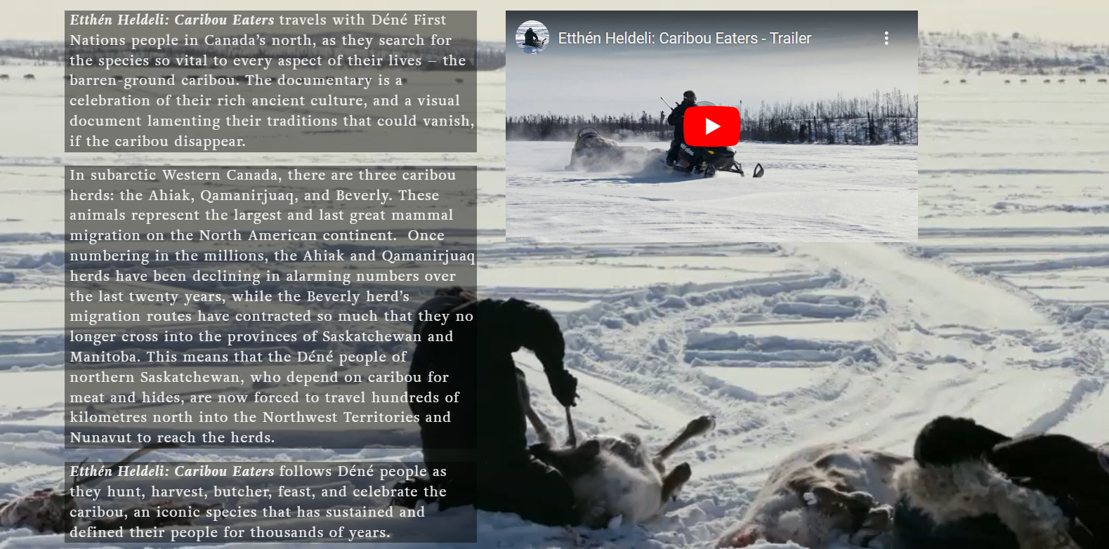 Video Caribou Eaters Canadian Conservation and Land Management