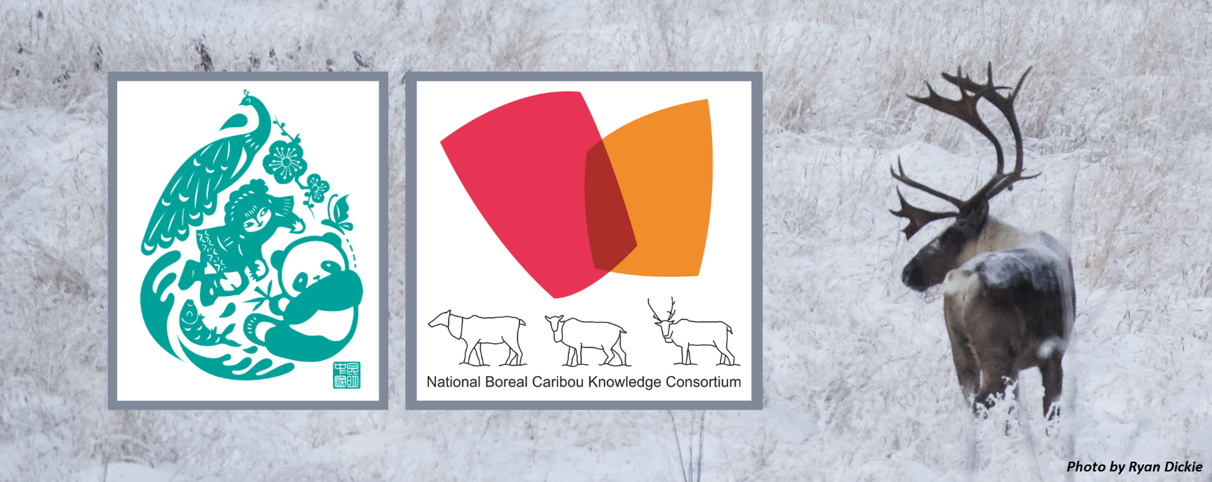 NBCKC at COP-15