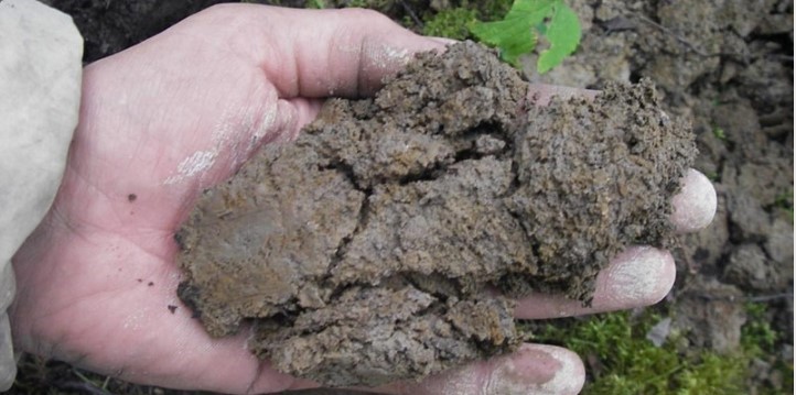 Soil