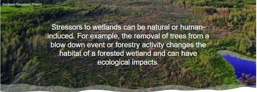 ABMI Wetland Atlas