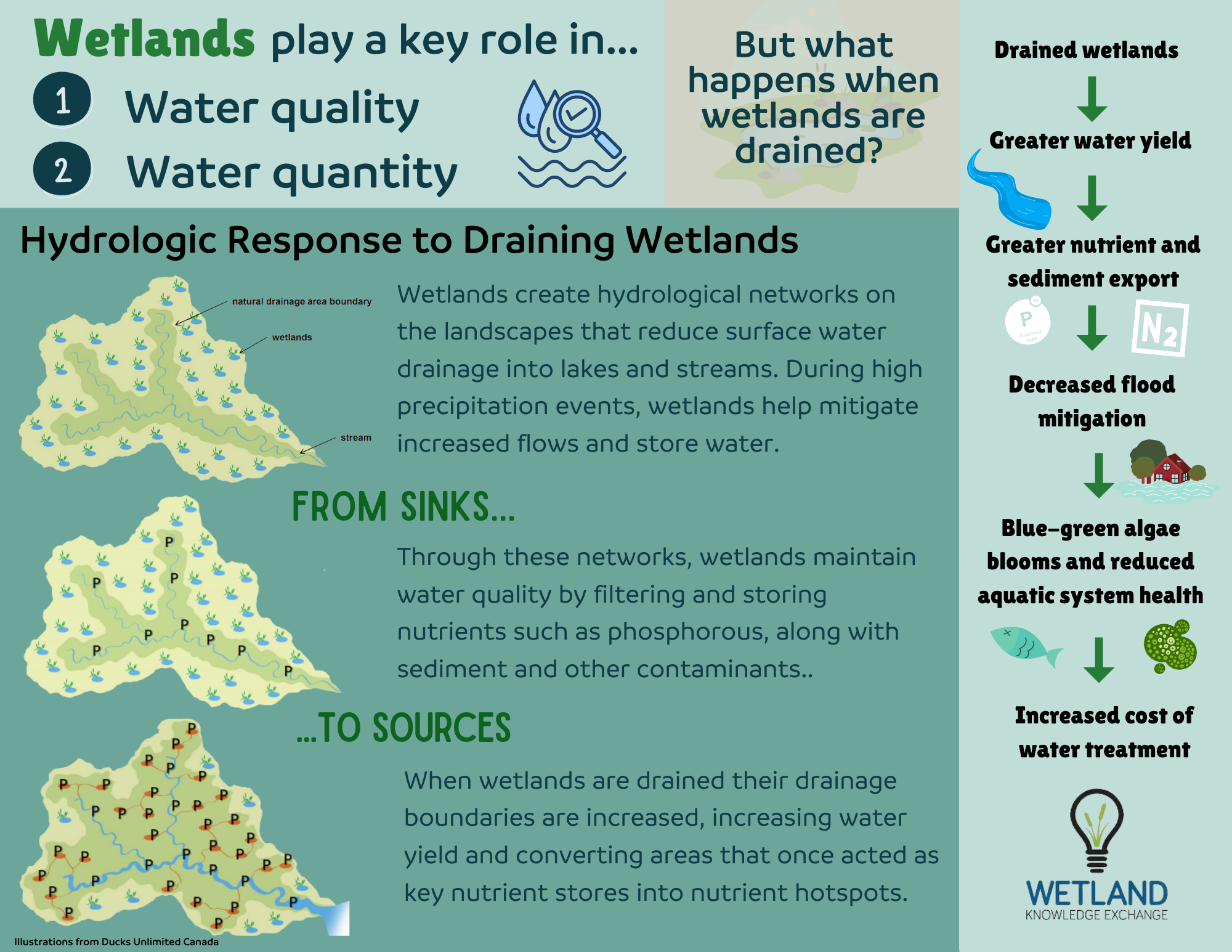infographic