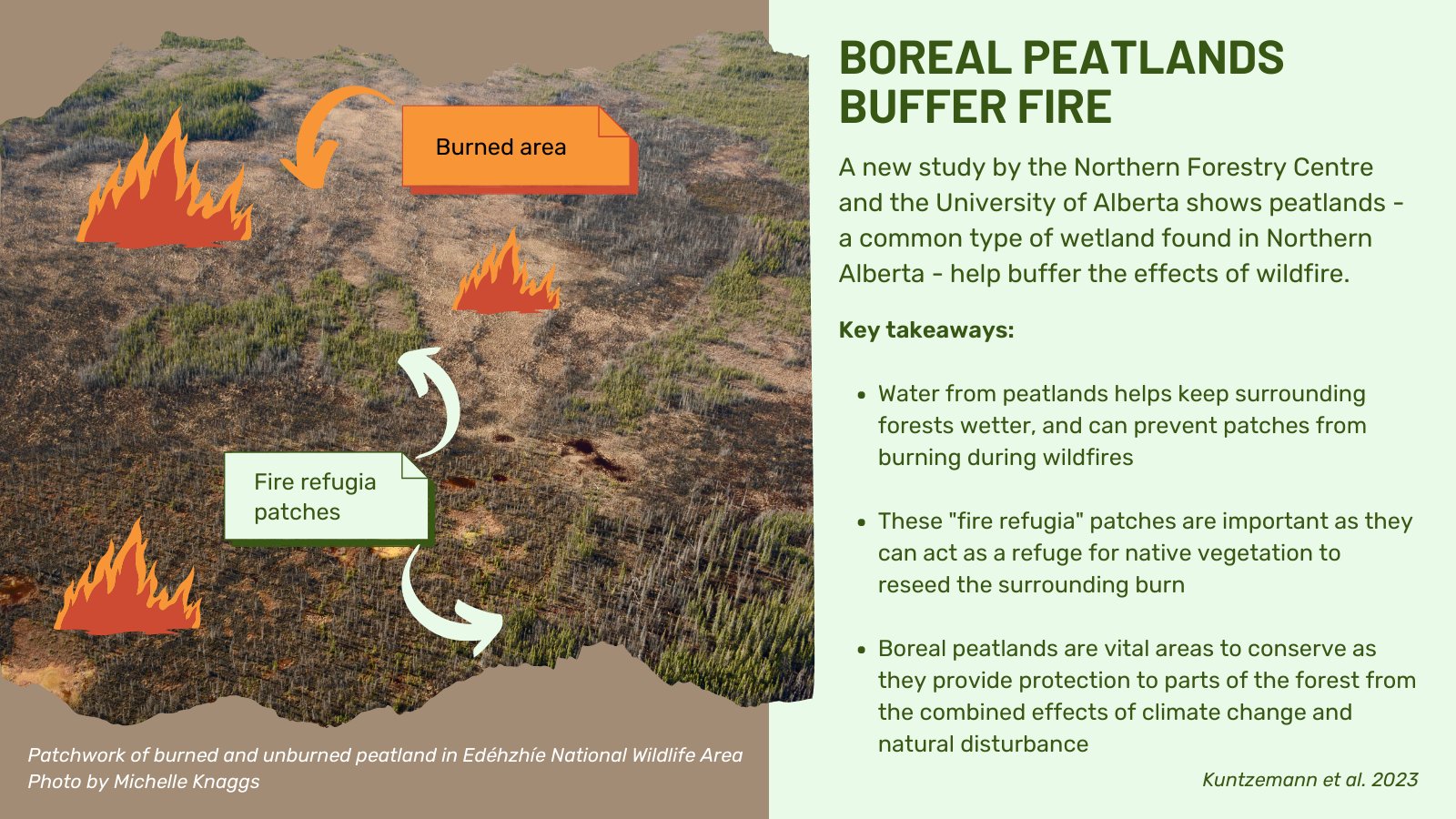 Peatlands promote fire refugia in boreal forests of northern Alberta, Canada