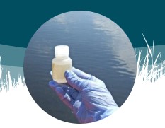 Wetland water sample