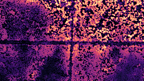 ABMI LiDAR data