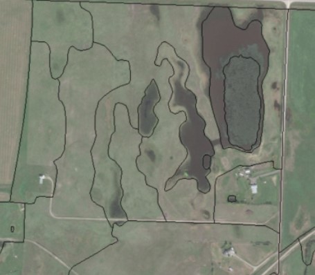 SALMTEC Wetland Delineation Course