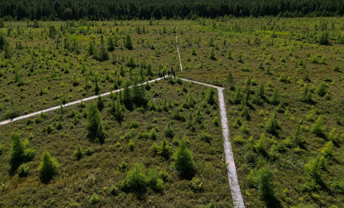 Peatland Complex
