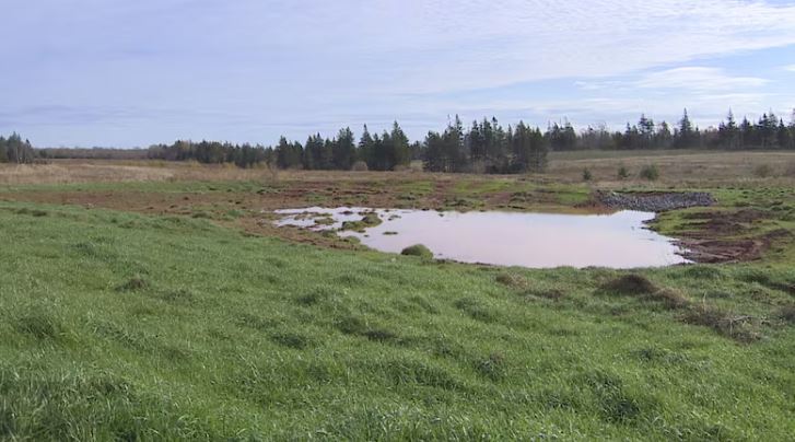 PEI Wetland