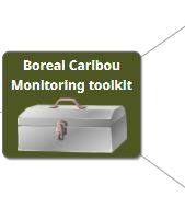 Toolkit organization diagram 