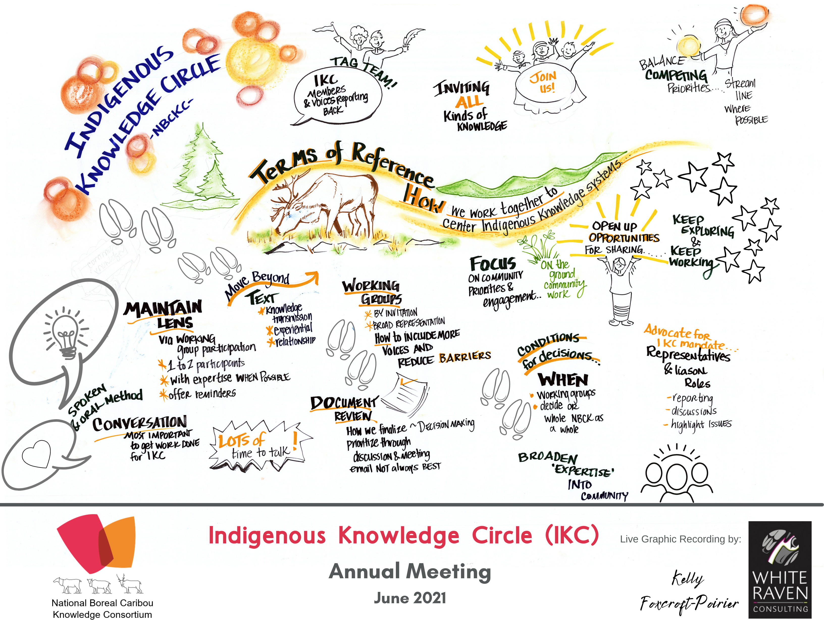 Graphic Recording - IKC Terms of Reference Discussion