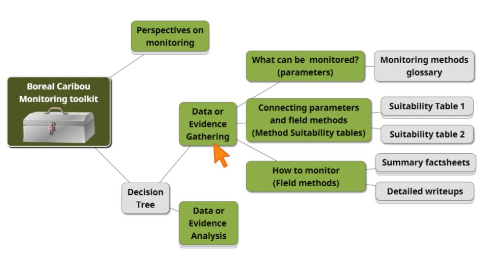 Toolkit organization diagram 