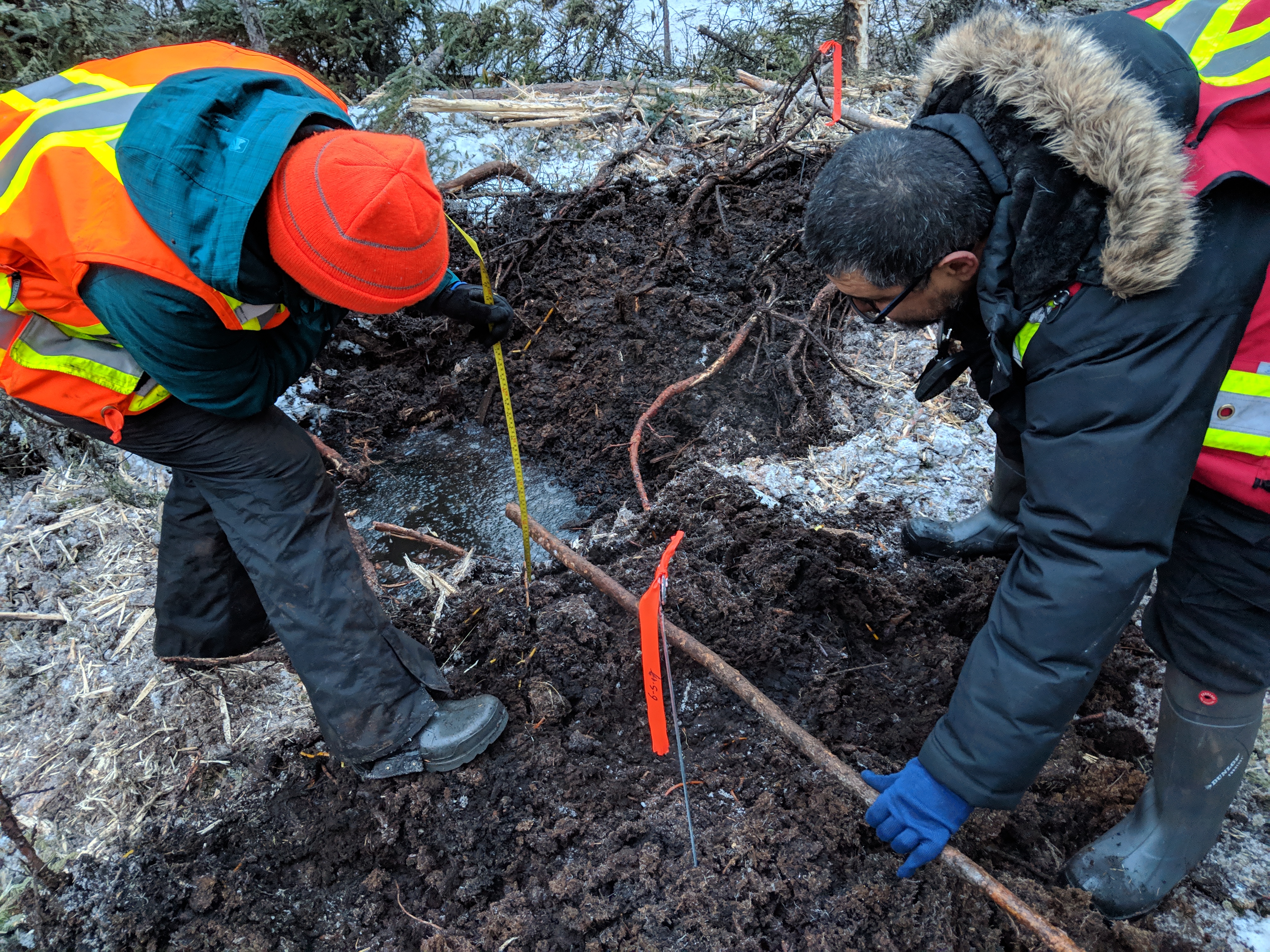 Working Together on Habitat Restoration