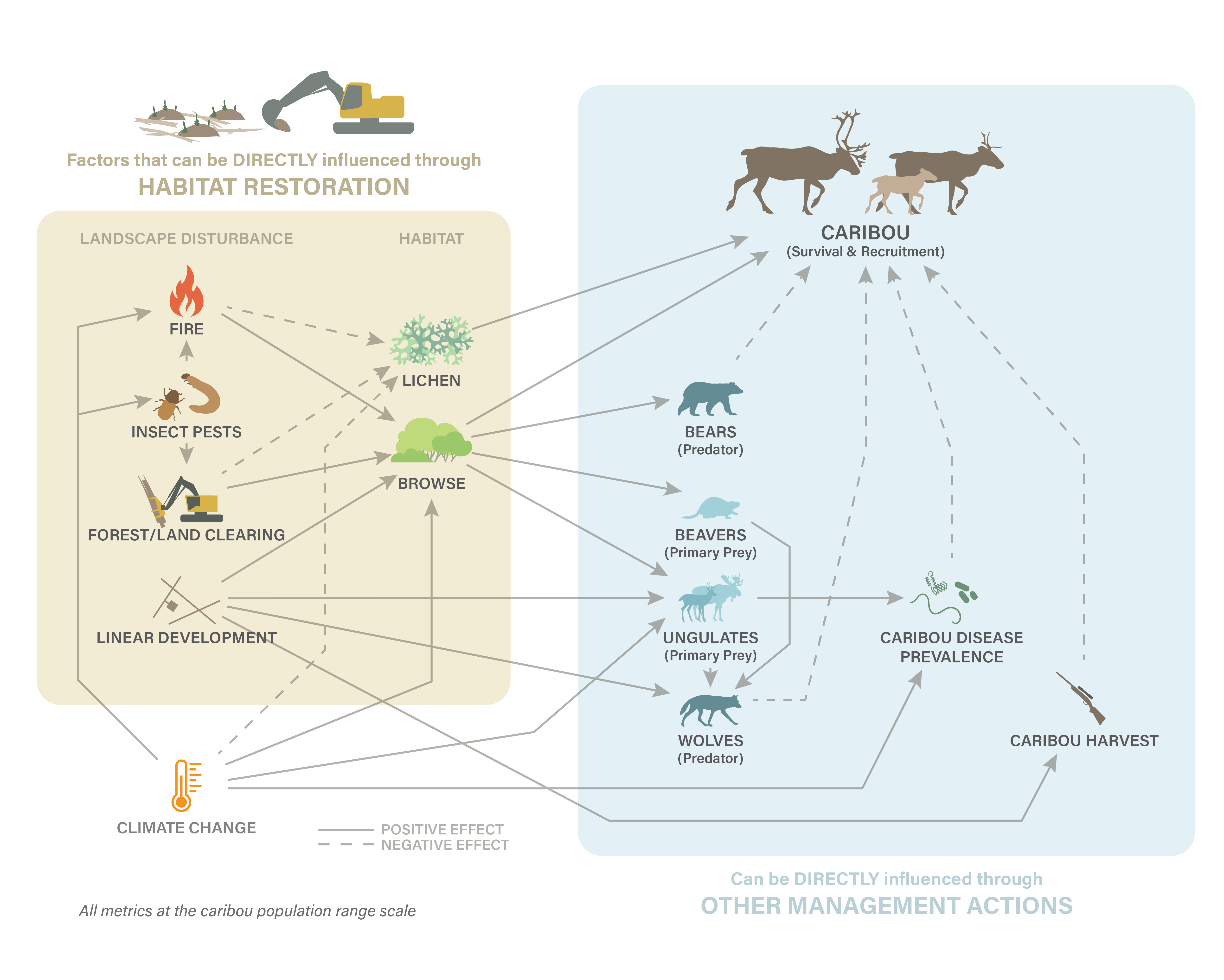 Image of the Boreal Caribou Ecological Model
