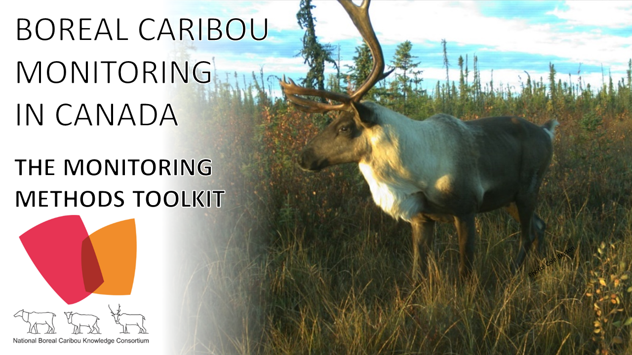 The Boreal Caribou Monitoring toolkit 