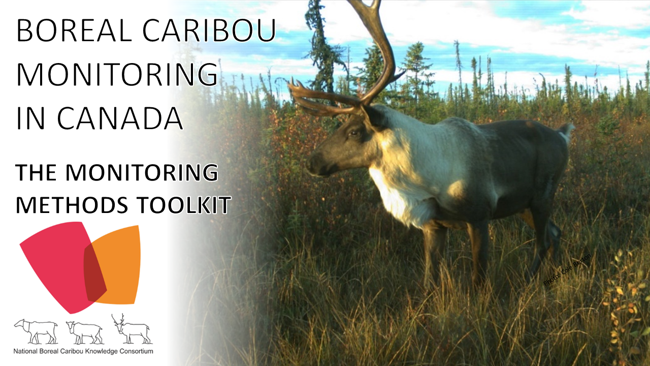 The Boreal Caribou Monitoring toolkit
