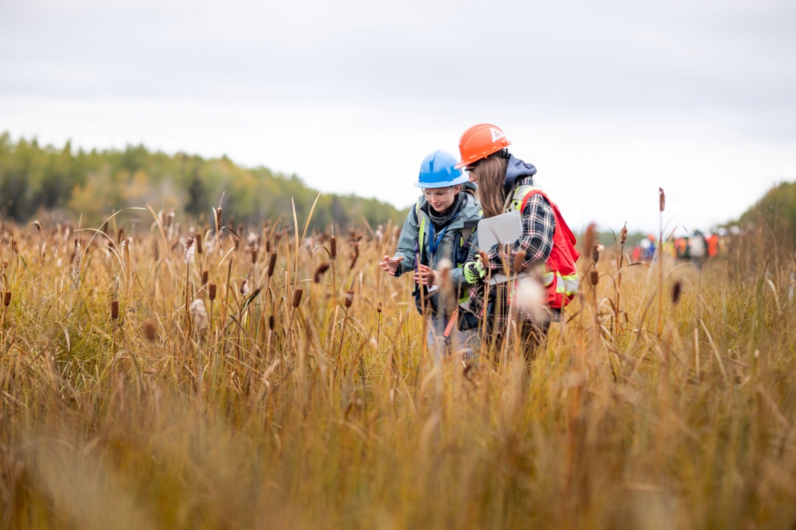 Two scientists in a field
