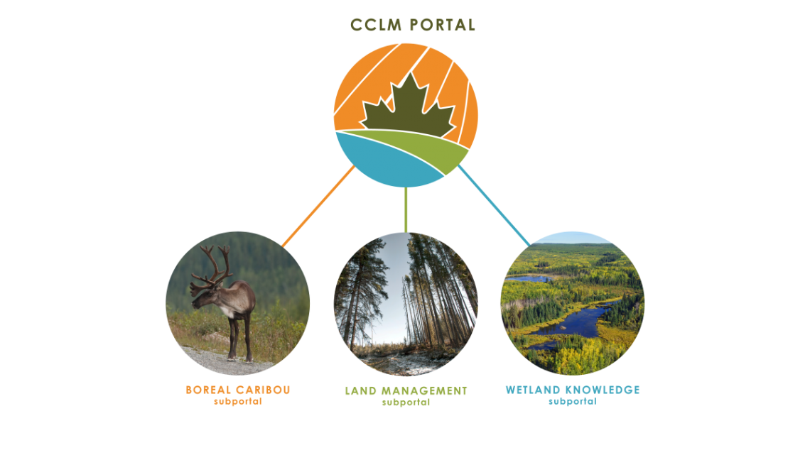 Portal structure diagram