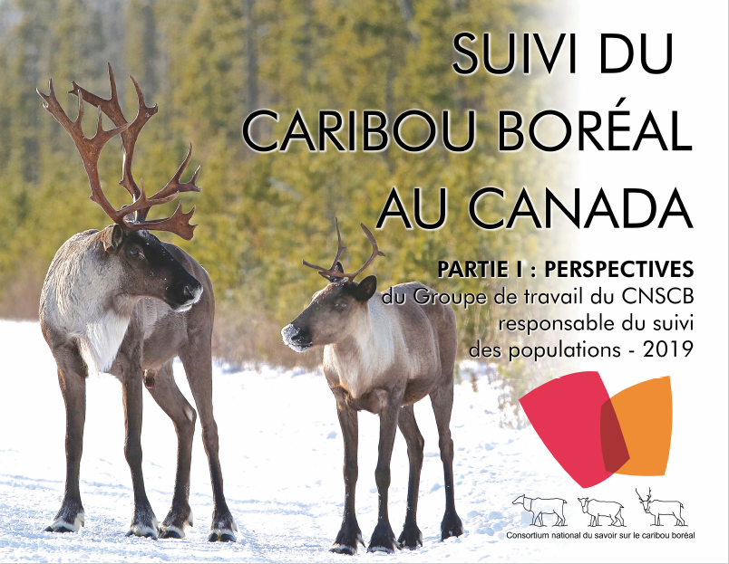 image de la page de couverture du rapport