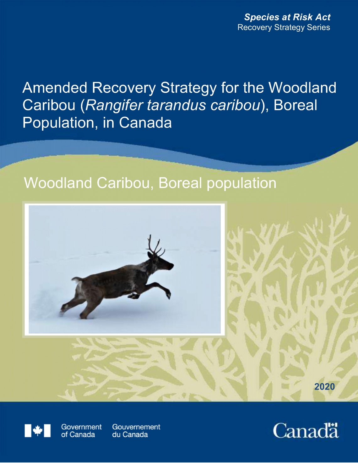 Amended Recovery Strategy for the Woodland Caribou, Boreal population cover page Amended Recovery Strategy for the Woodland Caribou, Boreal population cover page