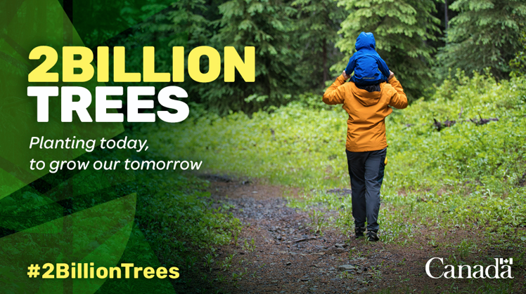 2 Billion Trees Logo of 2 billion trees program, person walking through trees