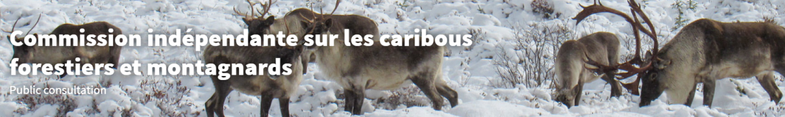 Public Consultation- Quebec 2022-Image