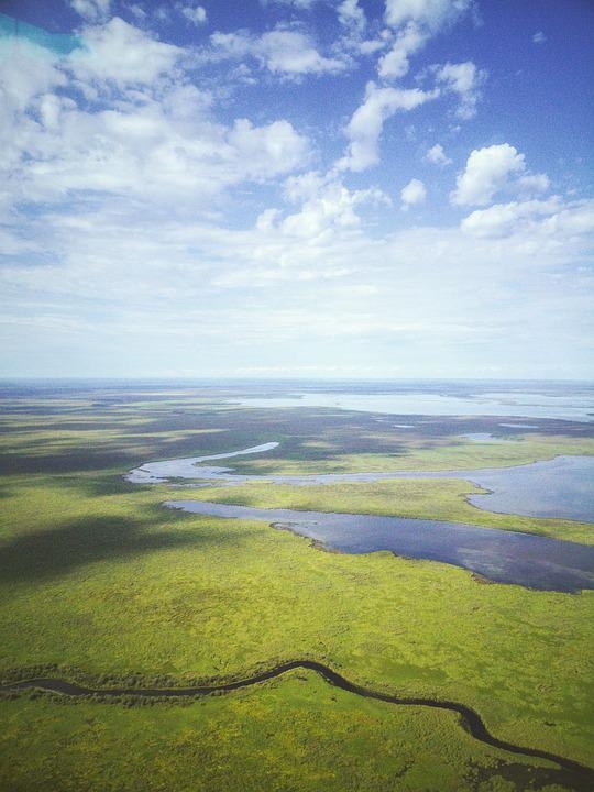 Landscape view of boreal forest and wetland habitat in the Northwest Territories