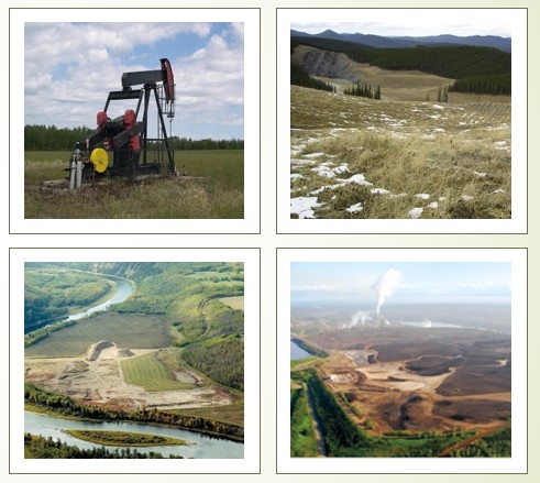 Disturbance types discussed by the Panel