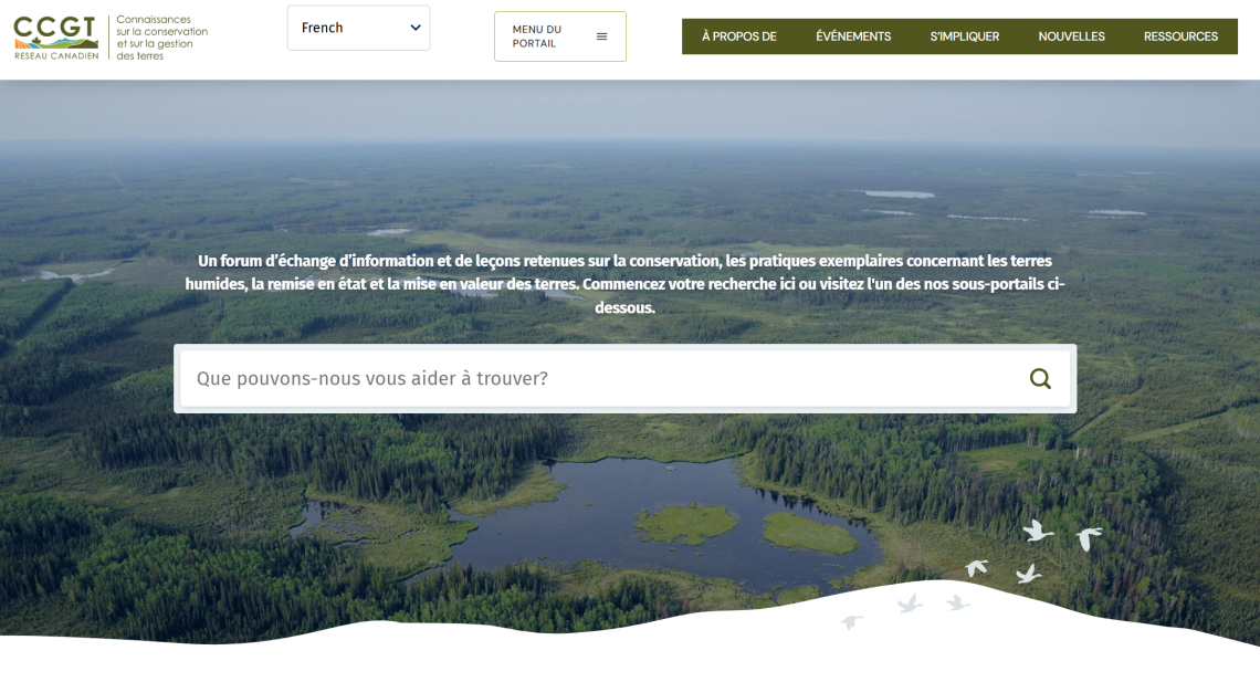 CCLM home page image (French)