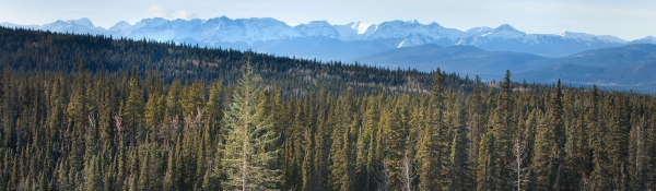 Land Management Portal Banner