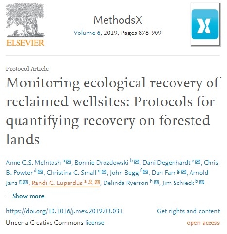 Journal article first page