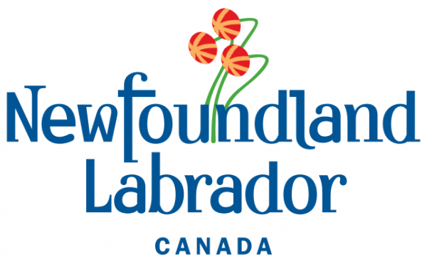 organization photo/logo