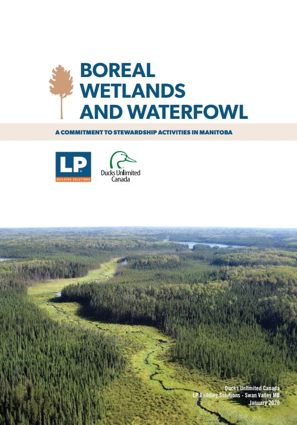 Boreal wetlands and waterfowl