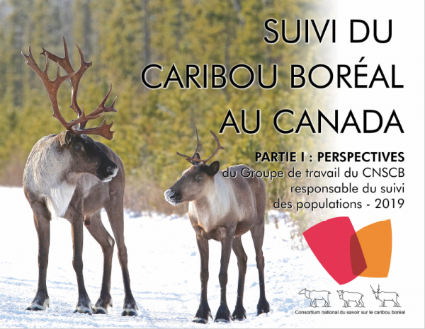 image de la page de couverture du rapport