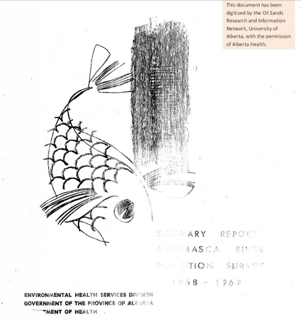 Report cover page