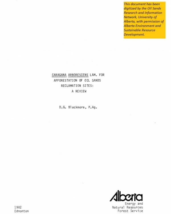 Report cover page