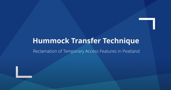 Hummock Transfer Technique