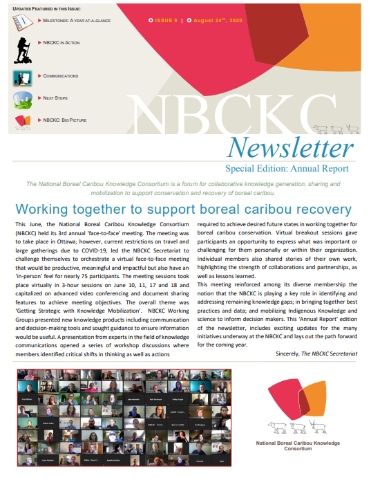 Screenshot of the cover page of the newsletter