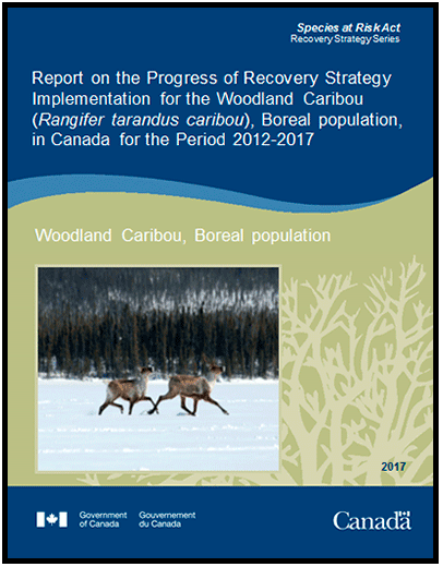 Screenshot of the cover page of the progress report