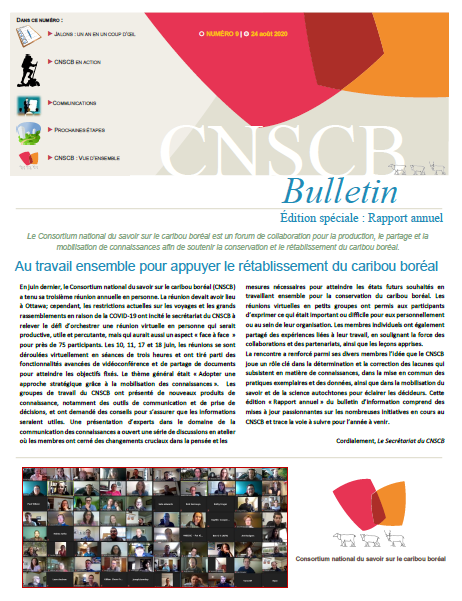 Page couverture du rapport annuel 2020