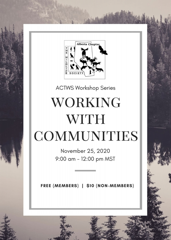 communities workshop