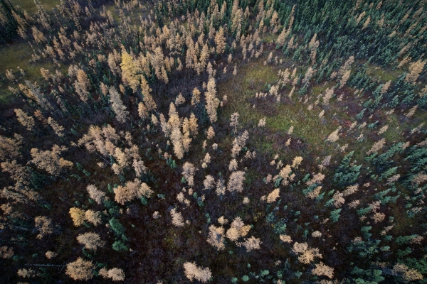 Fort Nelson First Nation - Kotcho Lake Area