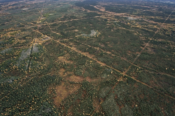 Kotcho Lake Restoration Area - Ryan Dickie