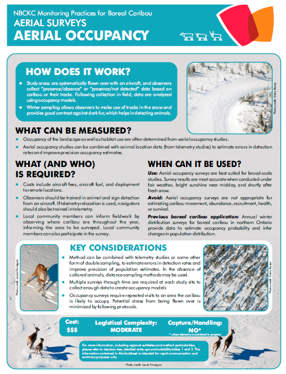 Screenshot of factsheet