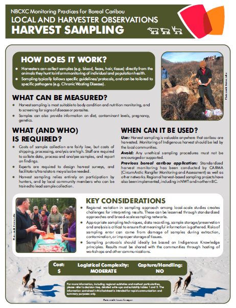 Screenshot of the factsheet